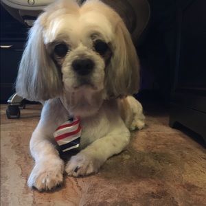 Meet your Posher, Corina